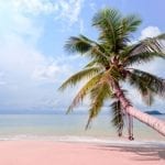 How to Slow Things Down and Reflect On Life and Business